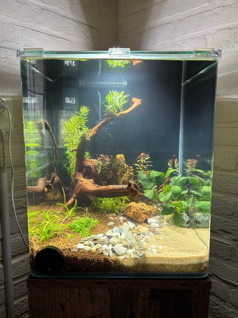 Dennerle Nano bak 30Ltr, Ophalen, Inclusief deksel, Dennerle, Zo goed als nieuw
