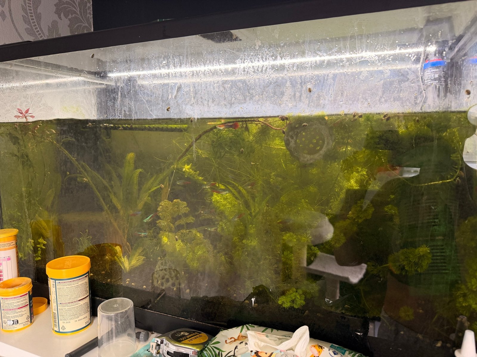 AQUARIUM, Dieren en Toebehoren, Ophalen