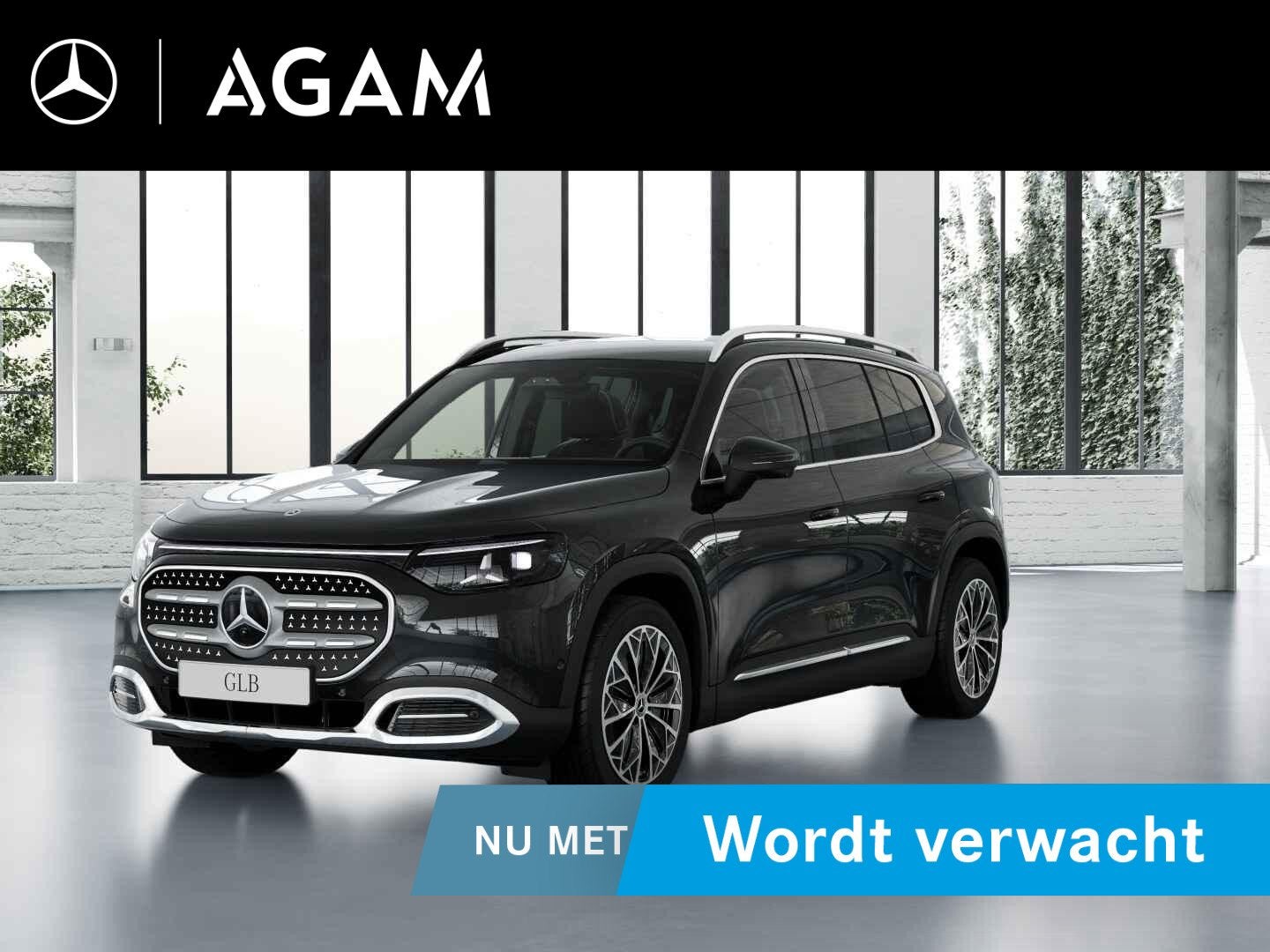 Mercedes-Benz GLB electric 250+ Business Solution 85.5 kWh