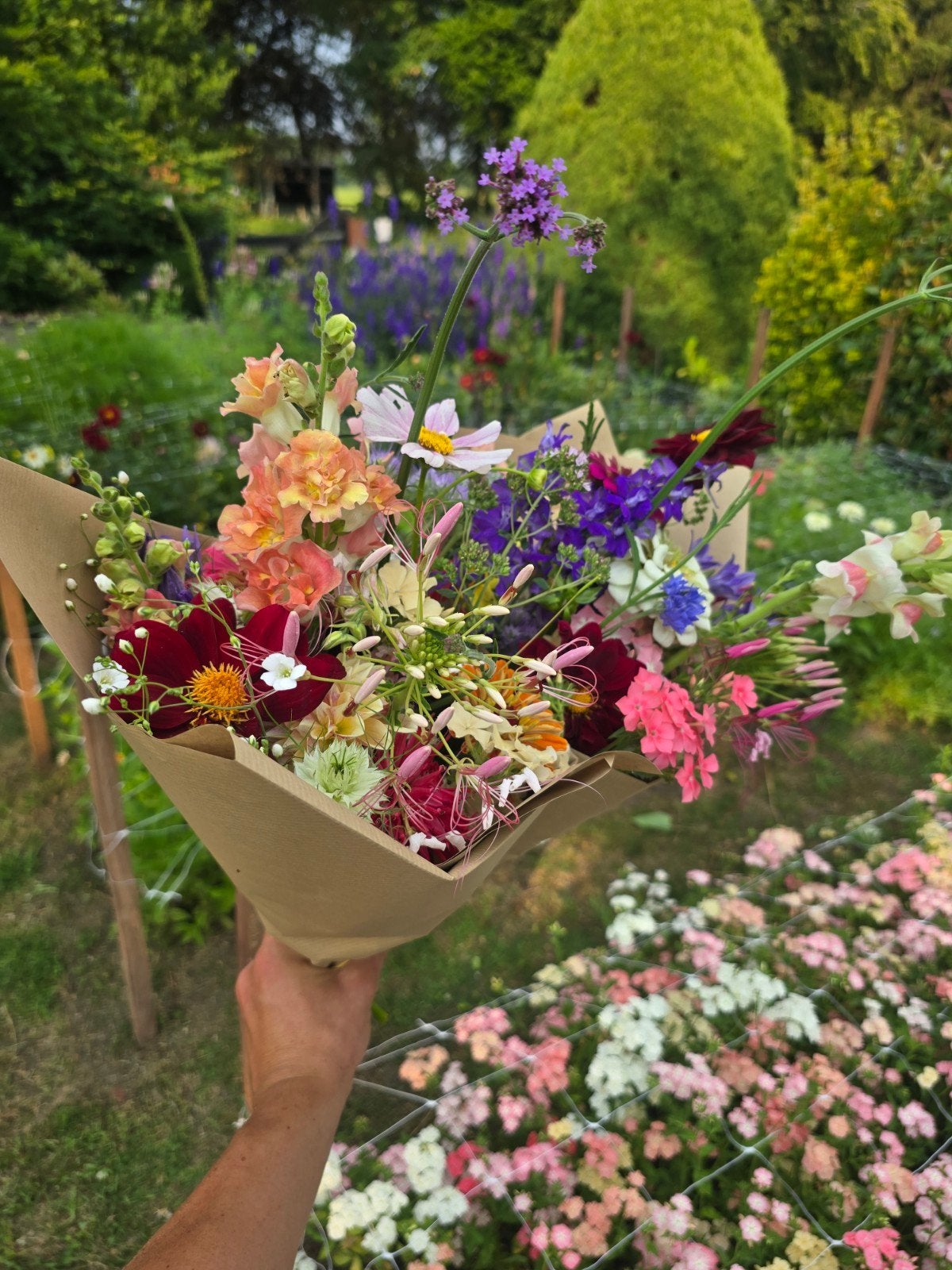 Pluk boeket snij bloemen tuin, Tuin en Terras, Bloembollen en Zaden, Ophalen, Volle zon