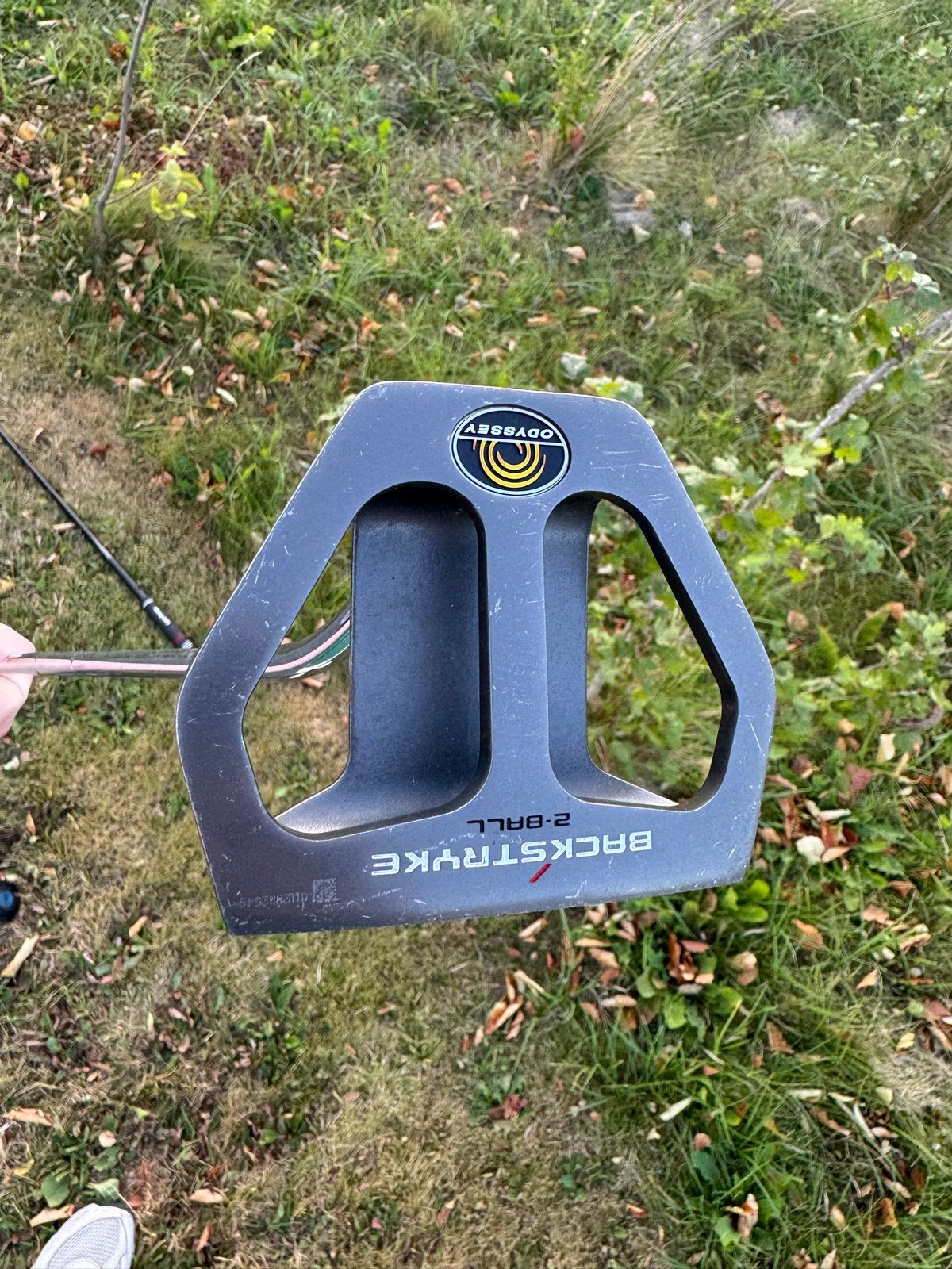 Odyssey Backstrike 2-Ball Putter, Ophalen, Gebruikt, Club, Overige merken