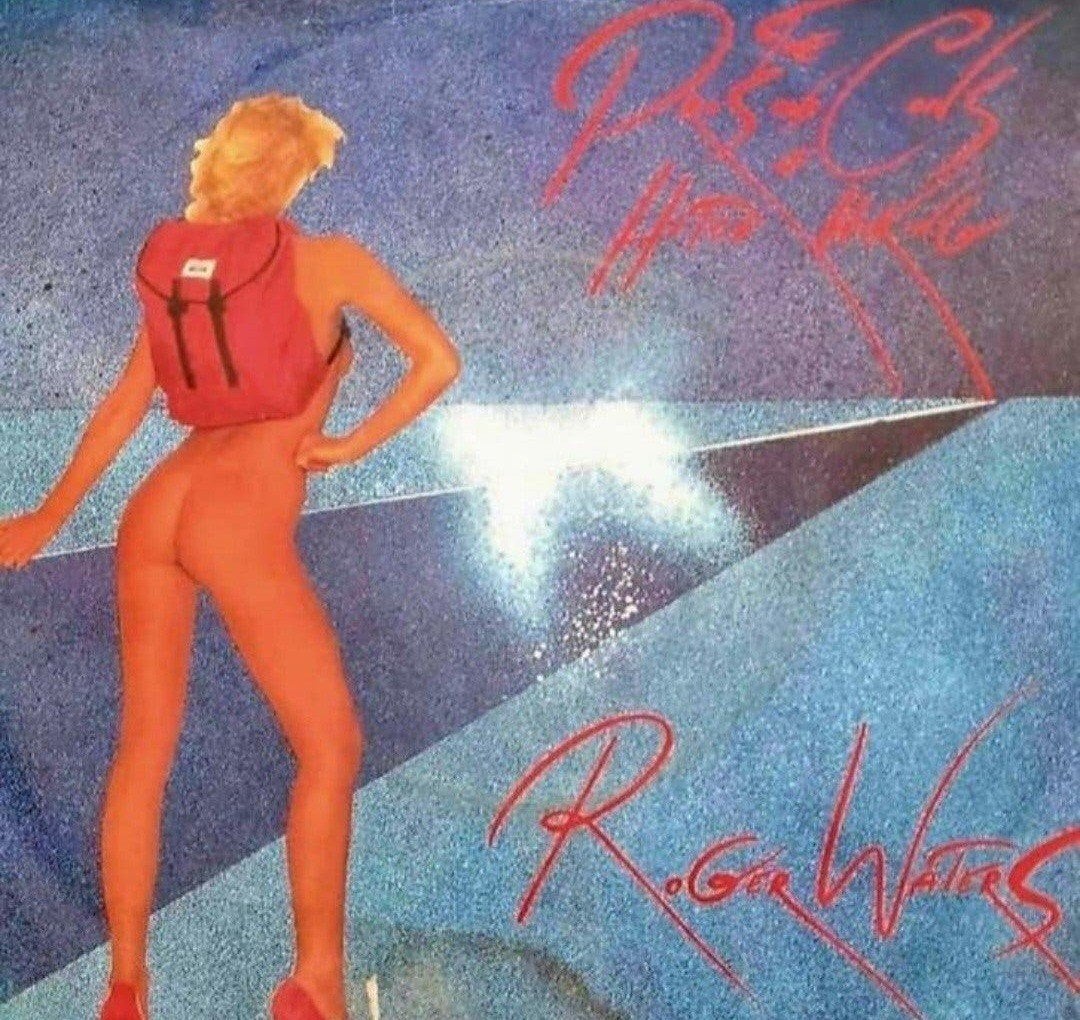ROGER WATERS  - THE PROS AND CONS OF HITCH HIKING (HB), Cd's en Dvd's, Ophalen of Verzenden, Gebruikt
