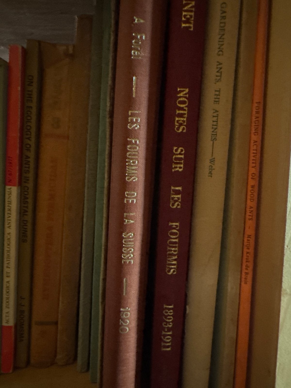 Antologie van Mierenstudies (1893-1920), Ophalen of Verzenden, Gelezen, Europa overig