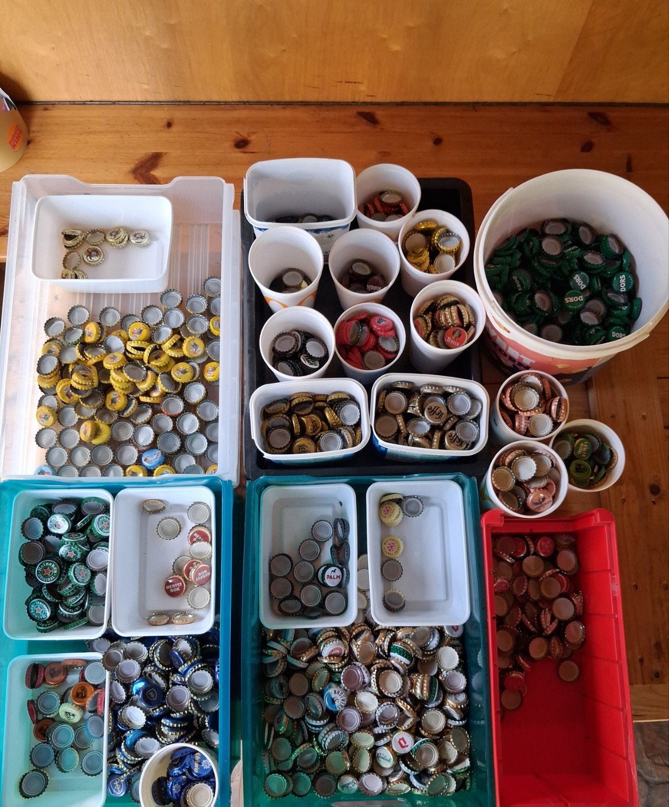 bierdoppen (gesorteerd) gratis af. halen in naaldwijk, Hobby en Vrije tijd, Ophalen of Verzenden