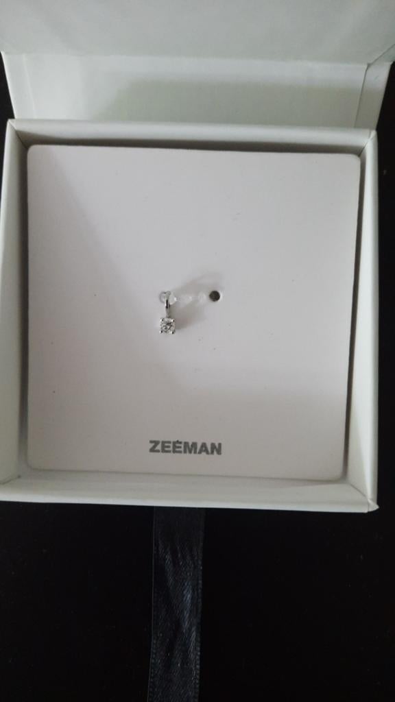 Lab Grown Diamant Hanger - 925 Zilver, Overige voorstellingen, Nieuw, Ophalen of Verzenden, Met edelsteen