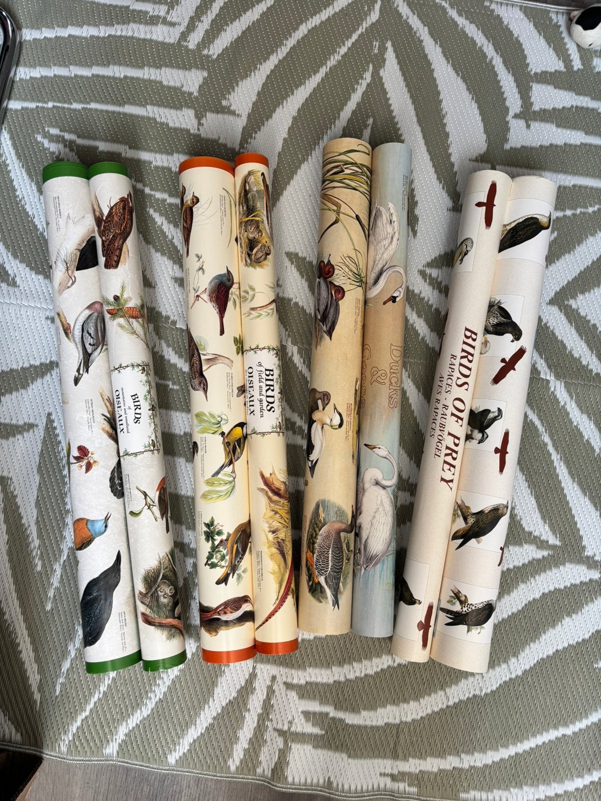 Birds / Vogel: 4 large hobby posters, Ophalen, Zo goed als nieuw, A1 t/m A3, Dier of Natuur