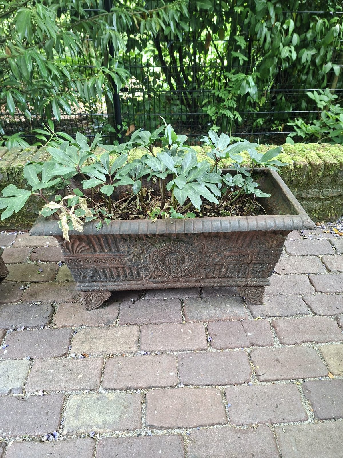 Franse gietijzeren Jardinières, Ophalen, Gebruikt, Minder dan 30 cm, Balkon
