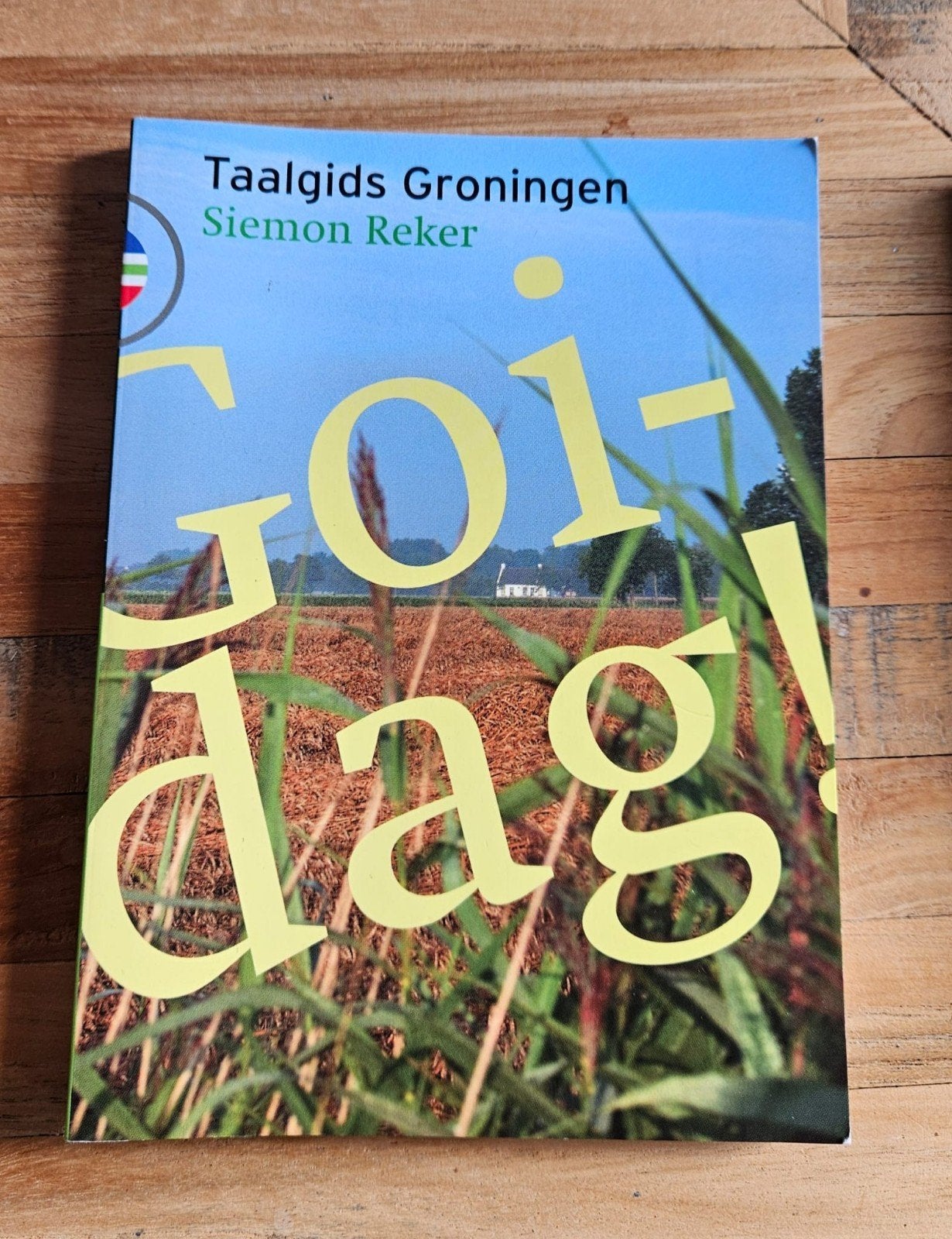 Goïdag! Taalgids Groningen door Siemon Reker, Boeken, Non-fictie, Nederlands, Ophalen of Verzenden, Zo goed als nieuw