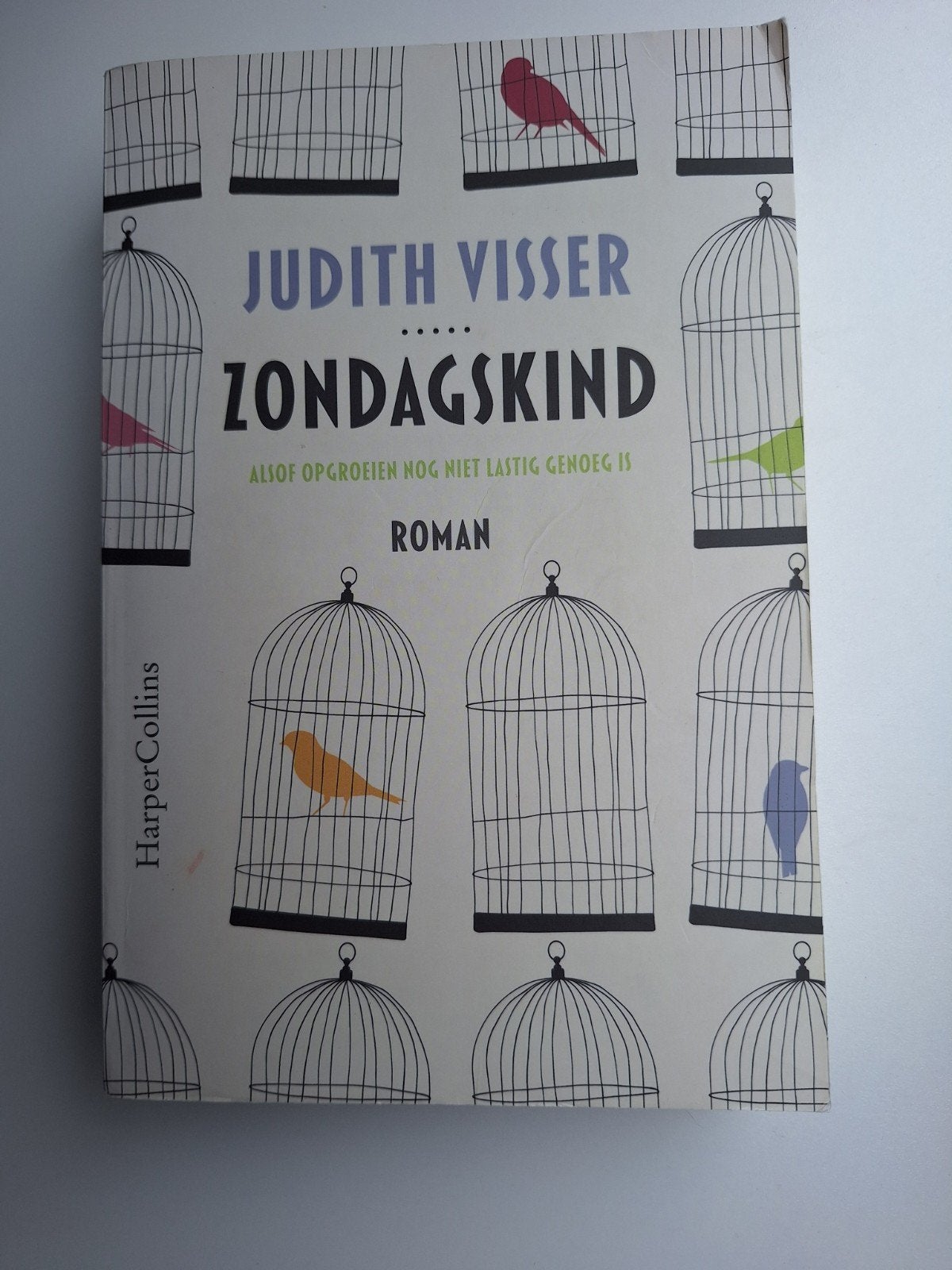 Judith Visser - Zondagskind, Boeken, Ophalen of Verzenden, Gelezen, Judith Visser