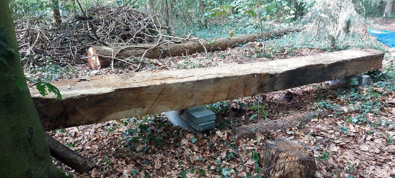 Europees Eiken Balk voor constructie of als gebint, Doe-het-zelf en Verbouw, Ophalen, Eiken, Nieuw, Balk
