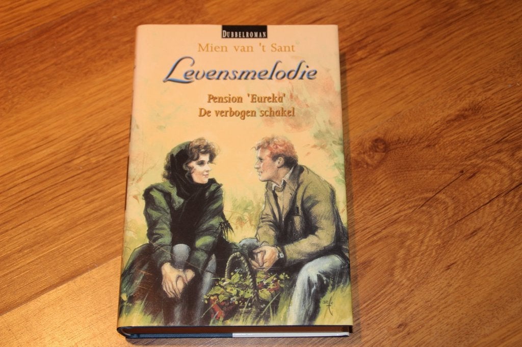 mien van 't sant diverse romans, Ophalen of Verzenden, Gelezen, Mien van 't Sant