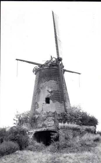(BG130) Ansichtkaart België Ophoven molen De Korenbloem 1978, Verzamelen, Ansichtkaarten | België, Ophalen of Verzenden, 1960 tot 1980