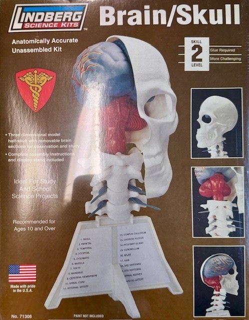 Coelianmodels, Lindbergh 71306, Menselijk Brein, € 23,99, Ophalen of Verzenden, Nieuw, Groter dan 1:32