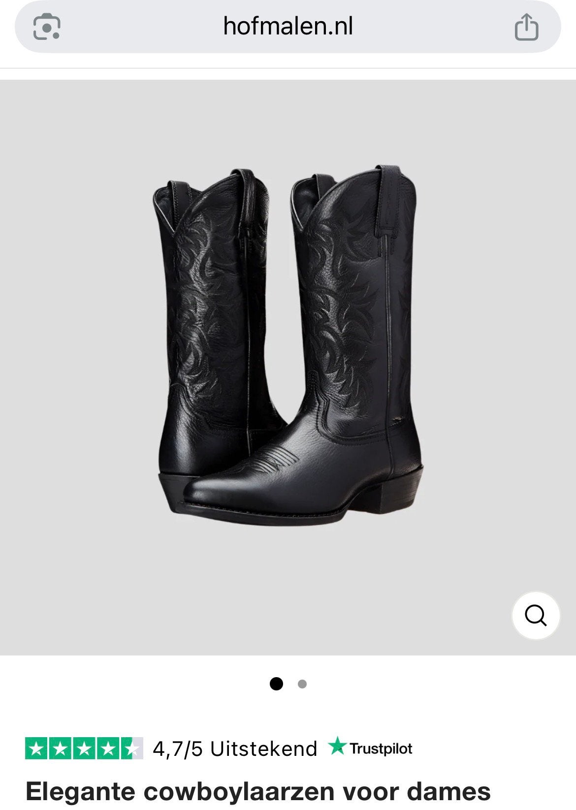 Nieuwe Cowboylaarzen zwart maat 40, Zwart, Overige typen, Nieuw, Ophalen of Verzenden