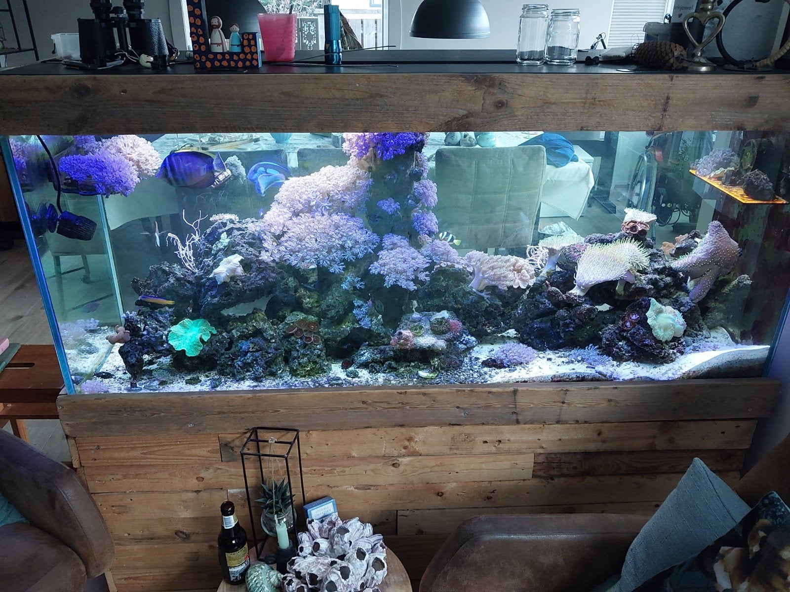 Zee aquarium te koop!, Dieren en Toebehoren, Ophalen, Overige merken, Zo goed als nieuw, Leeg aquarium