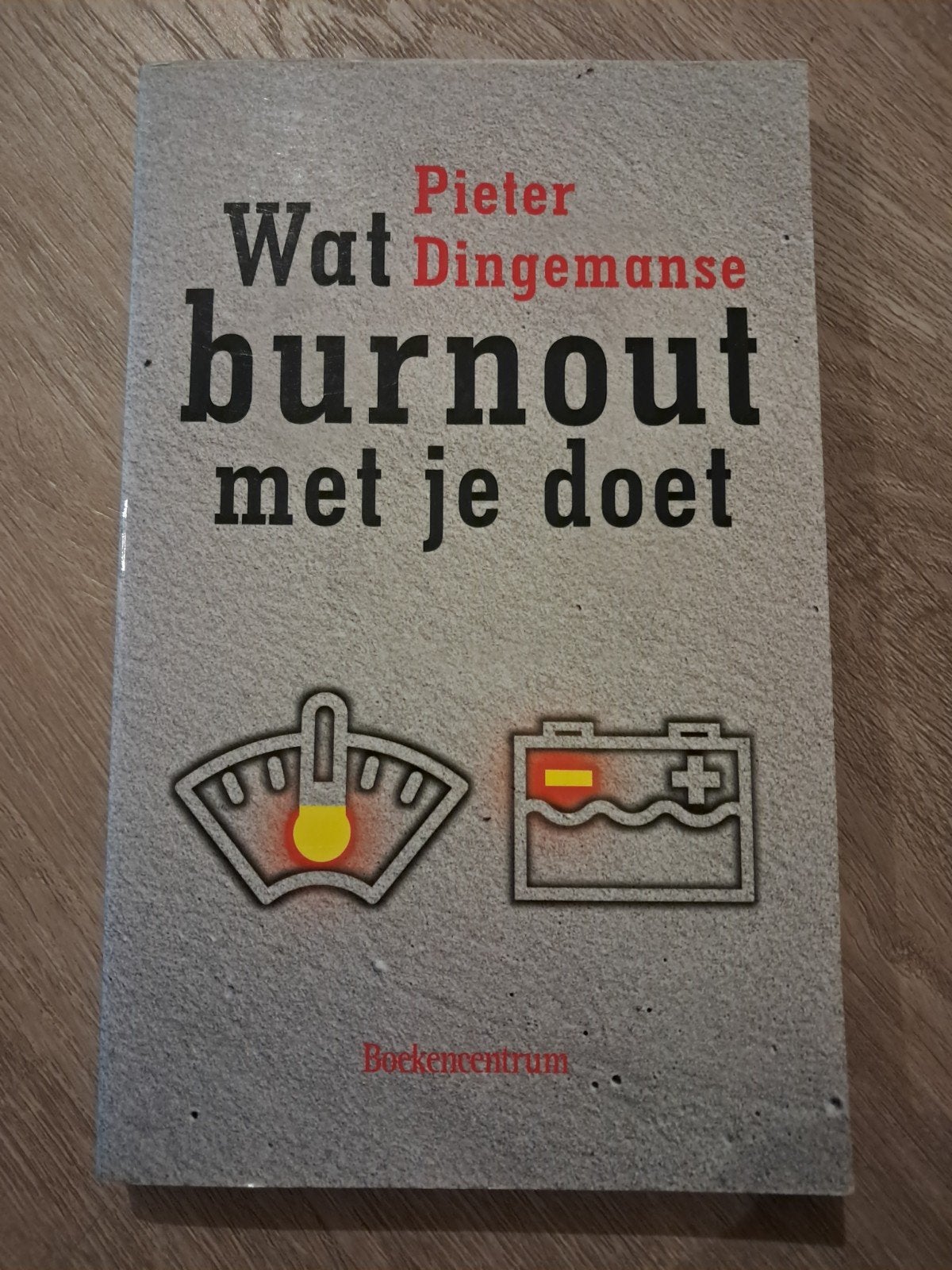 Q: P. Dingemanse - Wat burnout met je doet, Ophalen of Verzenden, Zo goed als nieuw, P. Dingemanse
