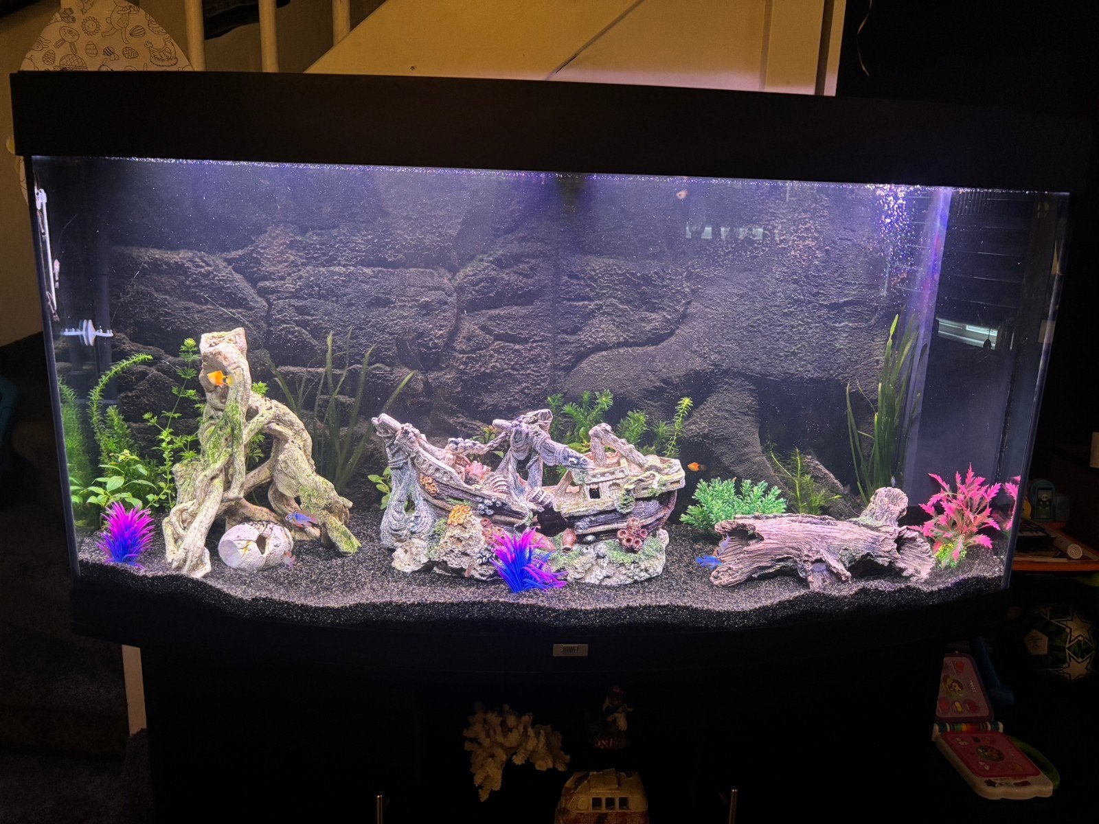juwel rio 240 bak, Dieren en Toebehoren, Ophalen, Leeg aquarium