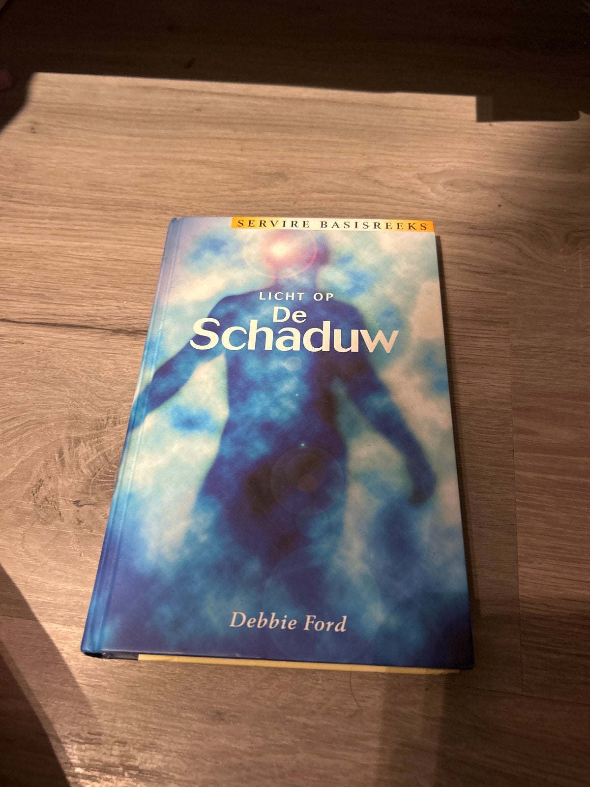 Licht op de Schaduw - Debbie Ford (Servire Basisreeks), Ophalen of Verzenden, Zo goed als nieuw, Spiritualiteit algemeen, Achtergrond en Informatie