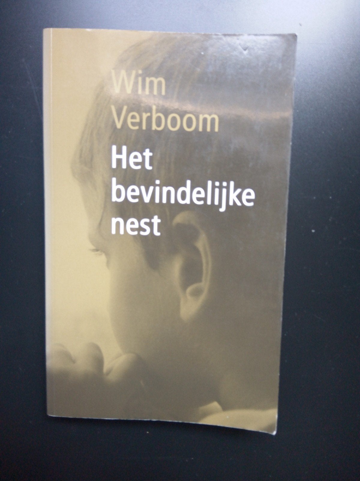 W. Verboom - Het bevindelijke nest, Ophalen of Verzenden, Gelezen, W. Verboom