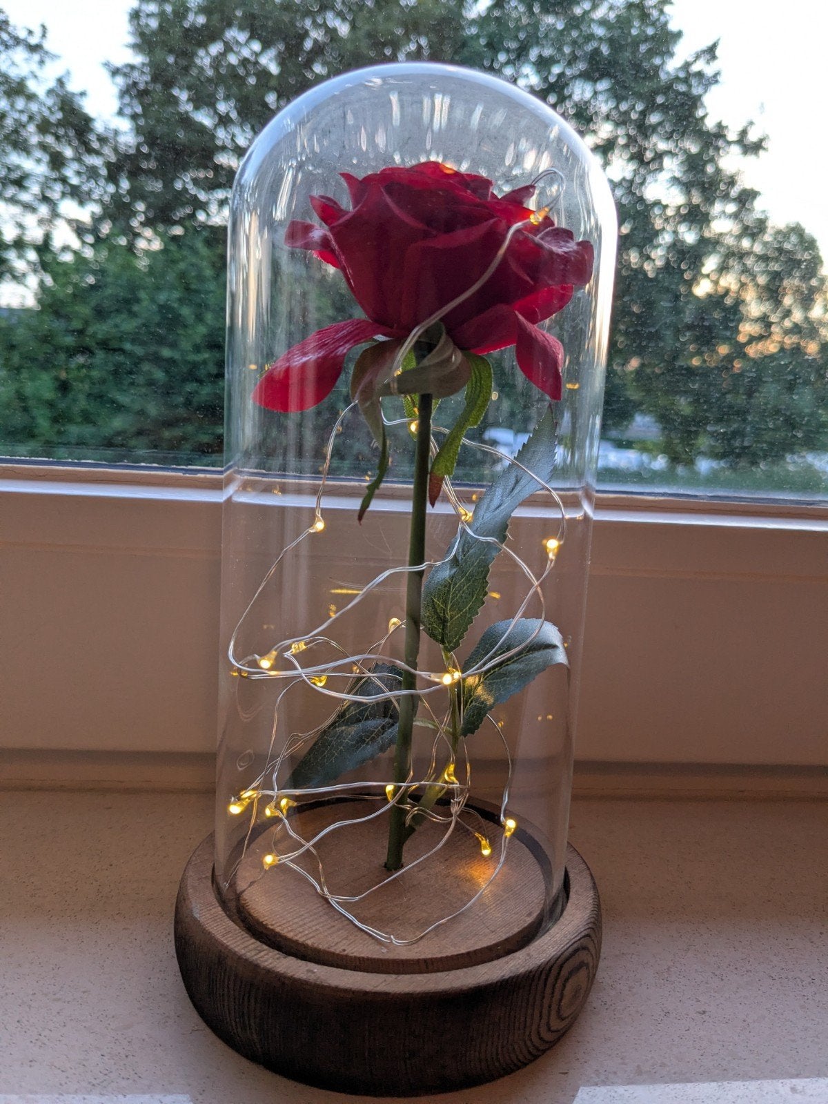 Betoverende Roos in Glazen Stolp met LED-verlichting - 22 cm, Ophalen of Verzenden