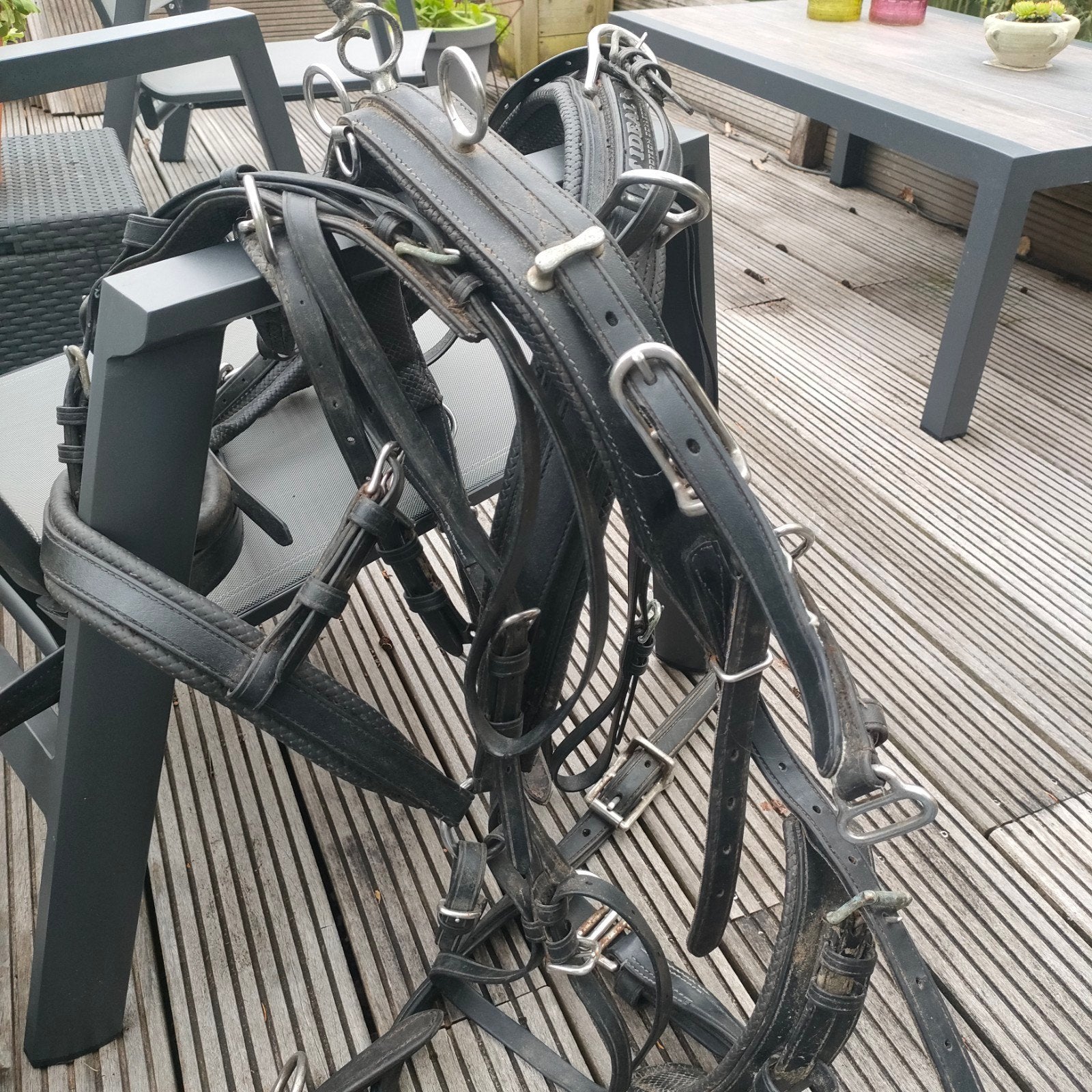 Ideal Eurotech tuig maat pony, Dieren en Toebehoren, Paarden en Pony's | Hoofdstellen en Tuigage, Ophalen of Verzenden, Gebruikt