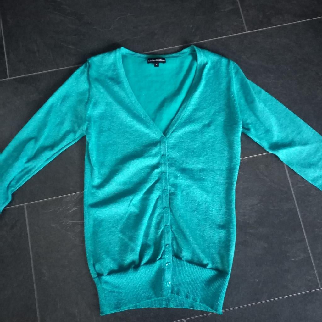 Leuk glitter vestje maat S koopje nu, Ophalen of Verzenden, Zo goed als nieuw, Maat 36 (S)