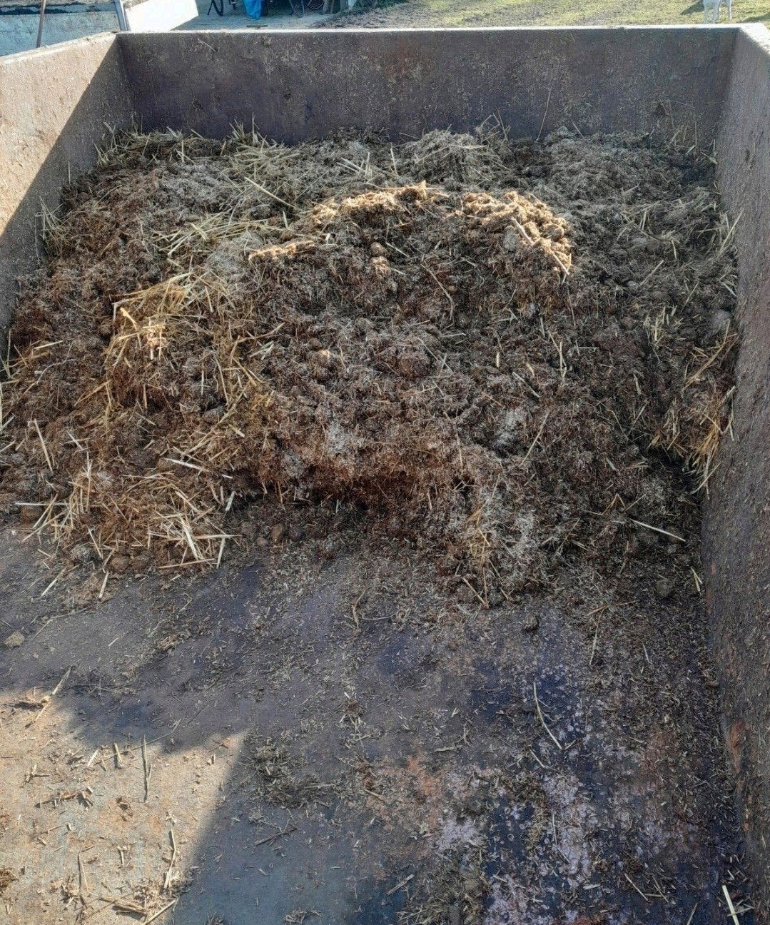 Verse paardenmest., Ophalen