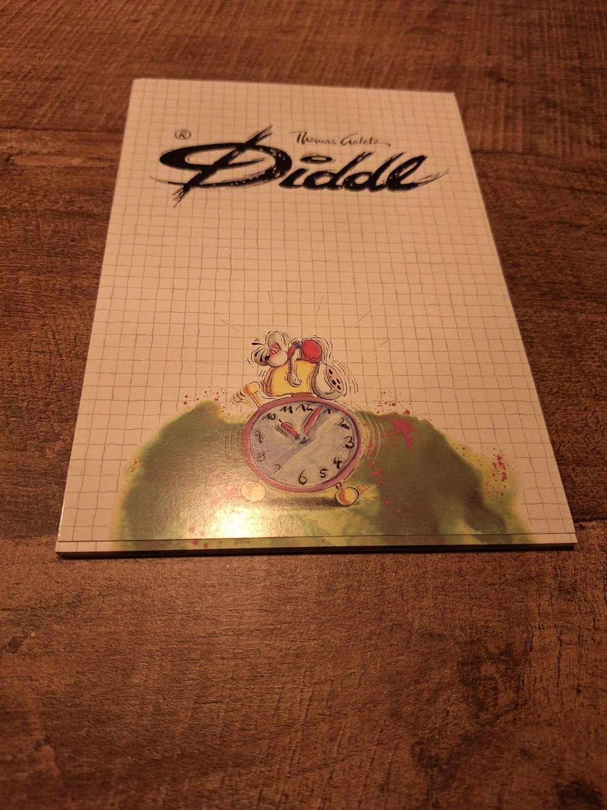 Diddl A5 blok nr. 116 - 28 blaadjes, Ophalen of Verzenden, Diddl, Gebruikt, Papier, Kaart of Schrift