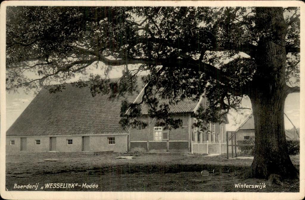 Meddo - Boerderij WESSELINK - Winterswijk, Ophalen of Verzenden, 1920 tot 1940, Ongelopen, Gelderland