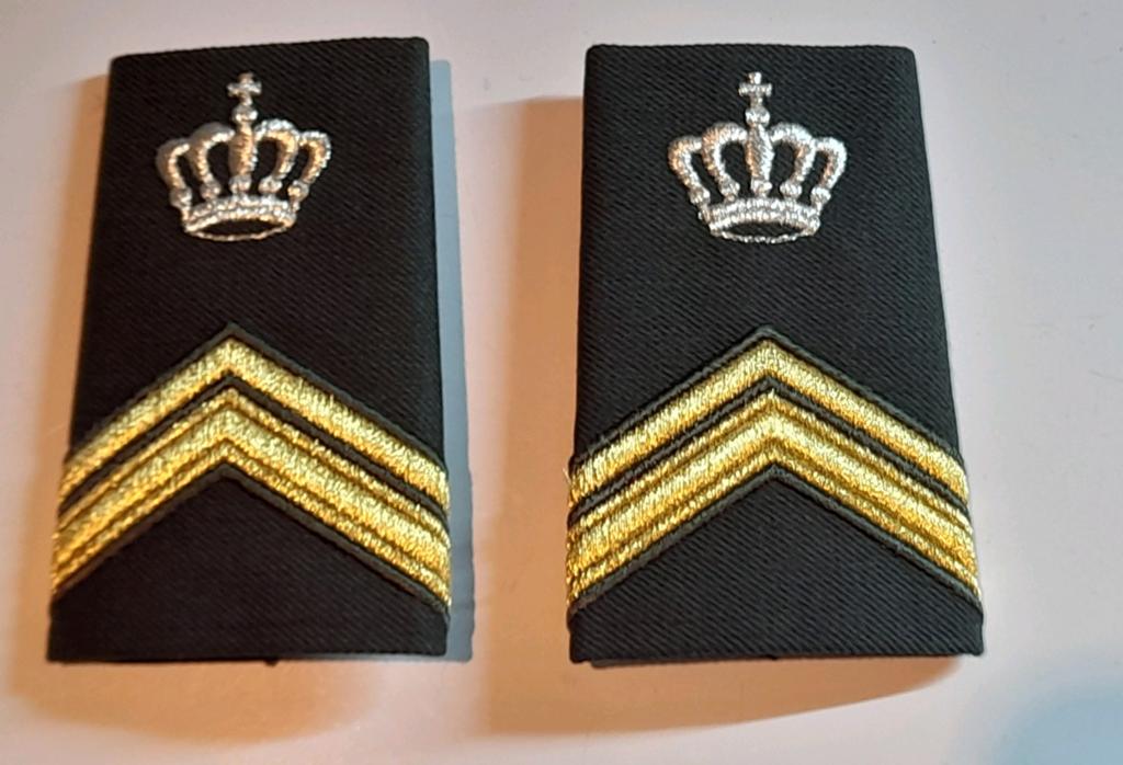 DT2000 RANGEN SERGEANT EERSTE KLAS INSTRUCTEUR, Ophalen of Verzenden, Landmacht, Nederland, Embleem of Badge