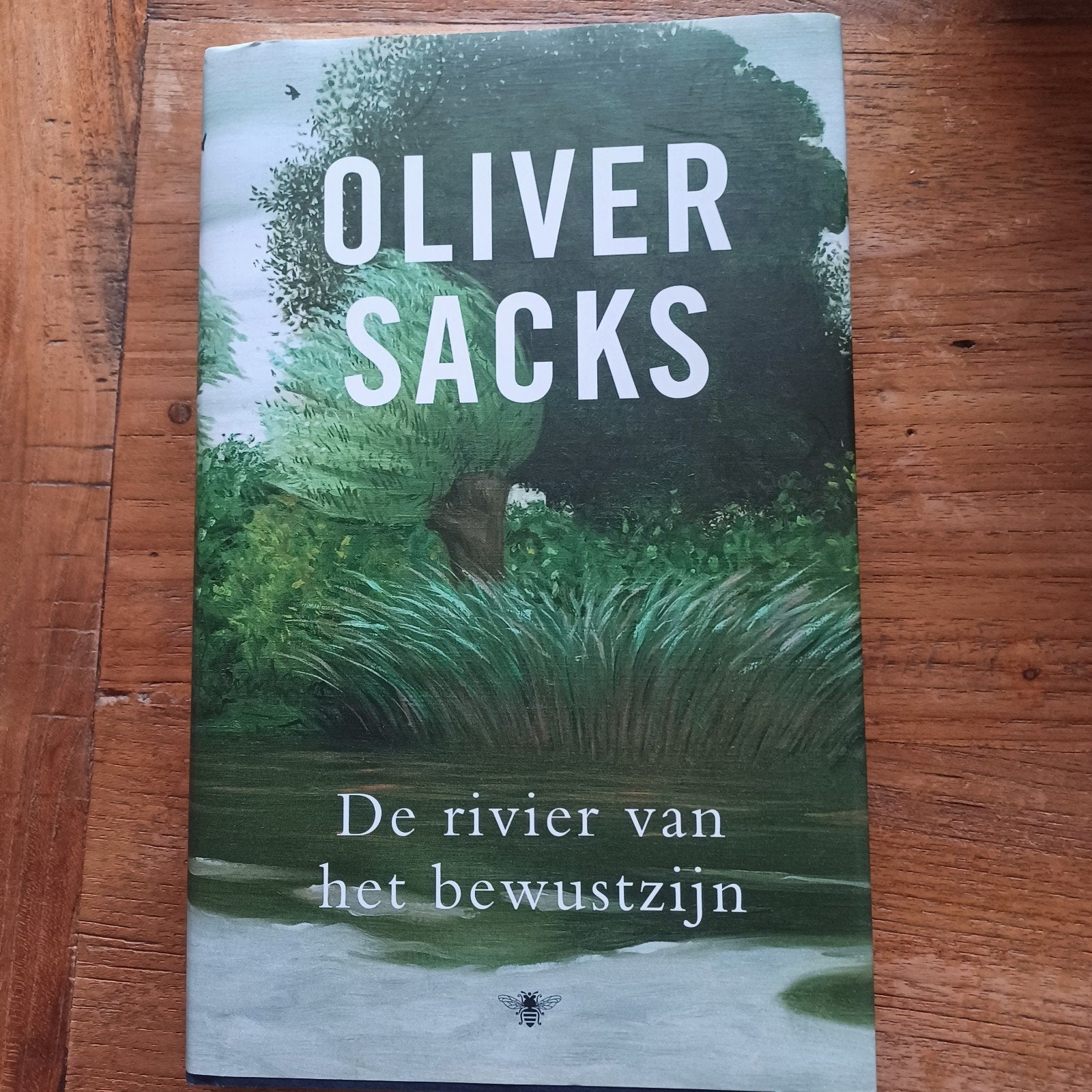 Oliver Sacks - De rivier van het bewustzijn, Boeken, Ophalen of Verzenden, Zo goed als nieuw, Oliver Sacks