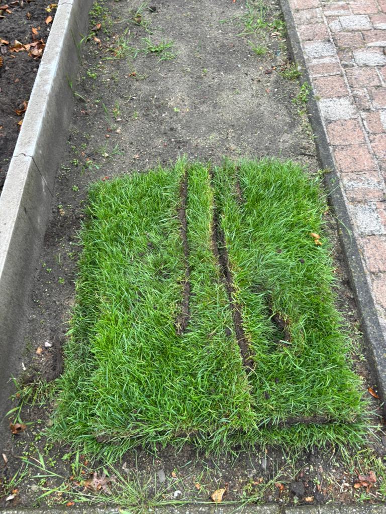 2m2 graszoden, Tuin en Terras, Ophalen, Zo goed als nieuw, Minder dan 10 m²