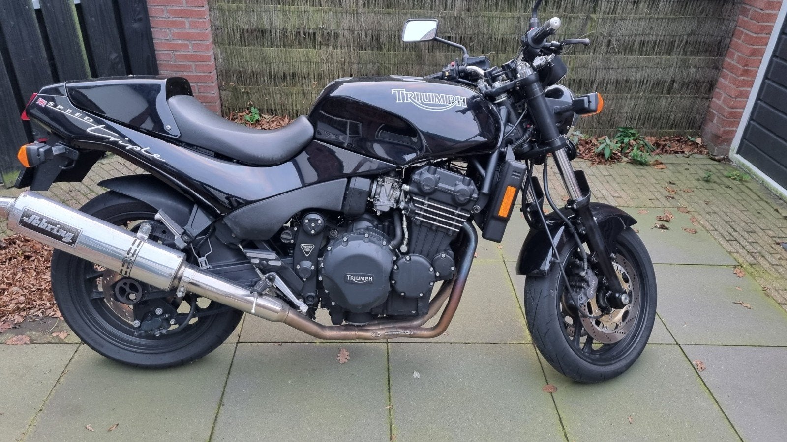 Triumph Speed Triple 750, 750 cc, Occasion, 3 cilinders, Particulier