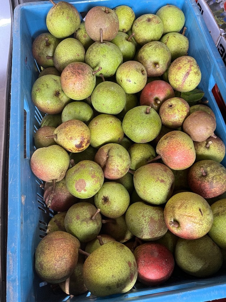 Stoofperen, Zoete Brederode, onbespoten., Diversen, Ophalen of Verzenden