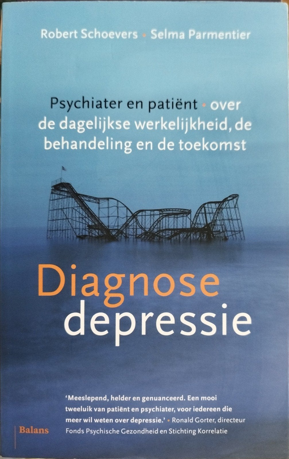 Diagnose Depressie: Psychiater en patiënt over depressie, Boeken, Ophalen of Verzenden, Nieuw, Klinische psychologie, Robert Schoevers, Selma Parmentier