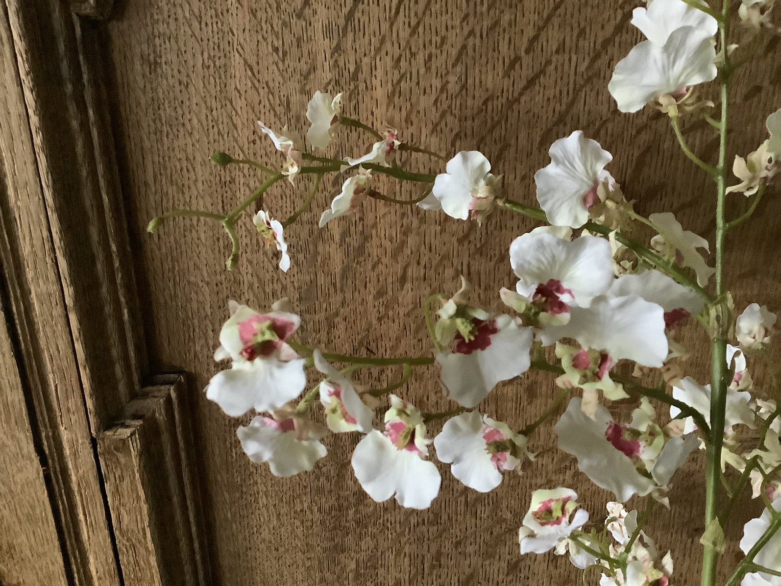 NIEUW kunstbloem Danching Orchidee 102 cm, Ophalen of Verzenden, Nieuw