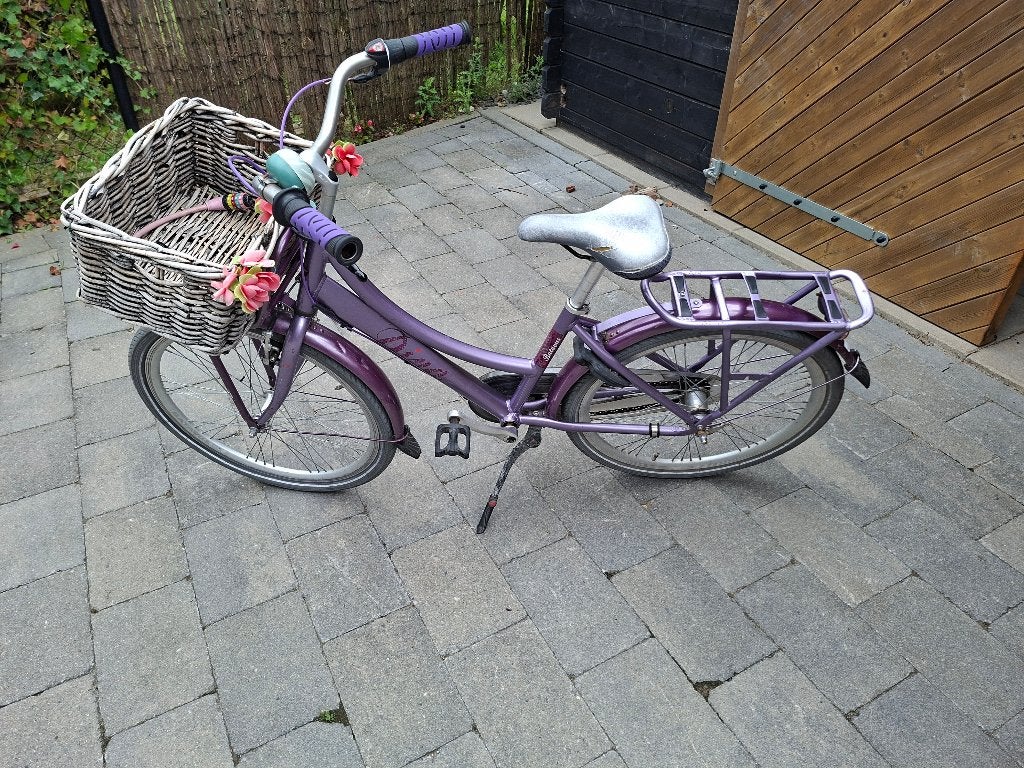 Transport Meisjesfiets 24 inch, Fietsen en Brommers, Terugtraprem, Versnellingen, Ophalen, Overige merken