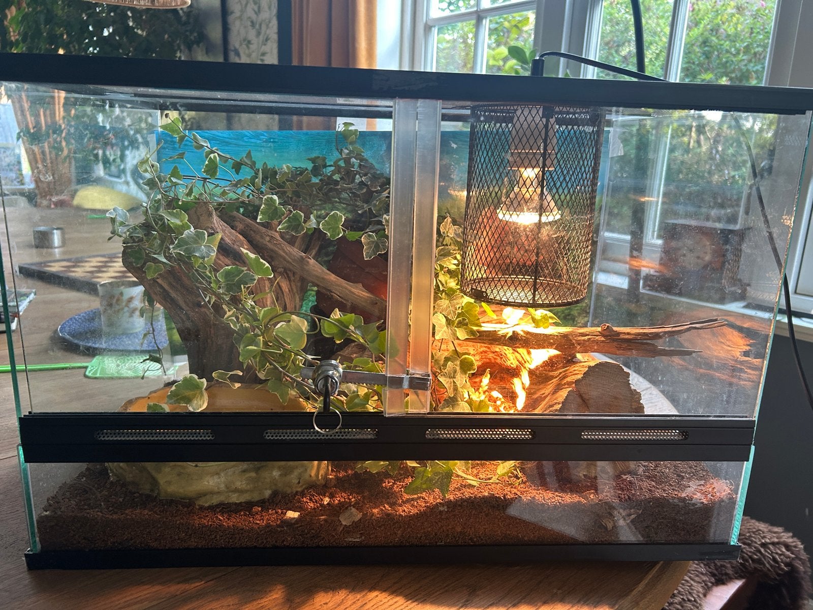 Terrarium incl. Warmte lamp, waterbak en slotje