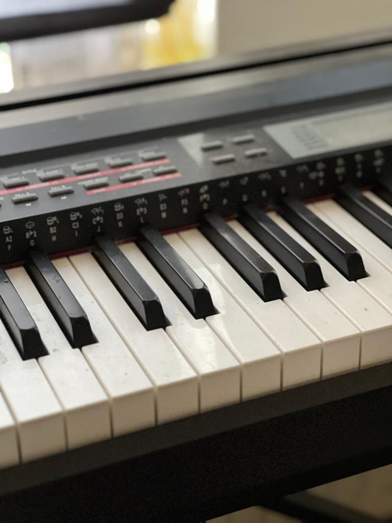 Thomann SP-5600 Digital Piano (88 Hammer Action Keys), Muziek en Instrumenten, Keyboards, Ophalen of Verzenden, Zo goed als nieuw