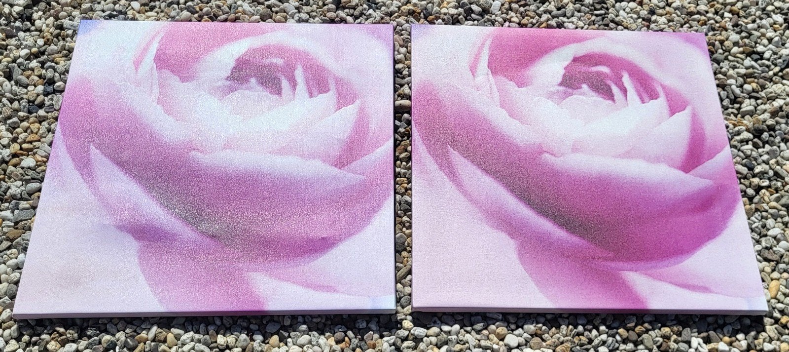 2x IKEA PJÄTTERYD canvas roos 56x56 cm – roze, Ophalen, 50 tot 75 cm, Schilderij