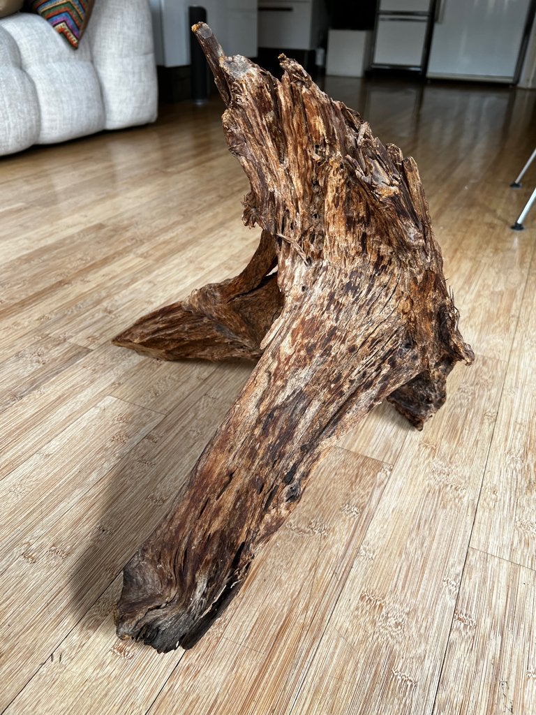 Driftwood hout XXL voor aquarium, Ophalen, Nieuw, Plant(en), Steen of Hout