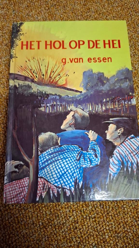 G van Essen, het hol op de hei, Boeken, Ophalen of Verzenden