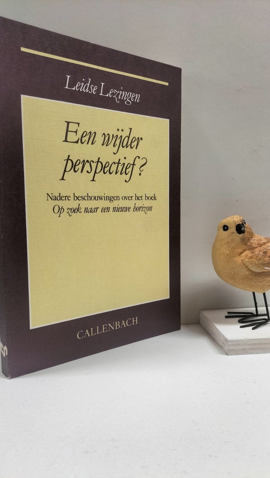Leidse Lezingen: Een wijder perspectief ?, Ophalen of Verzenden, Gelezen, Christendom | Protestants