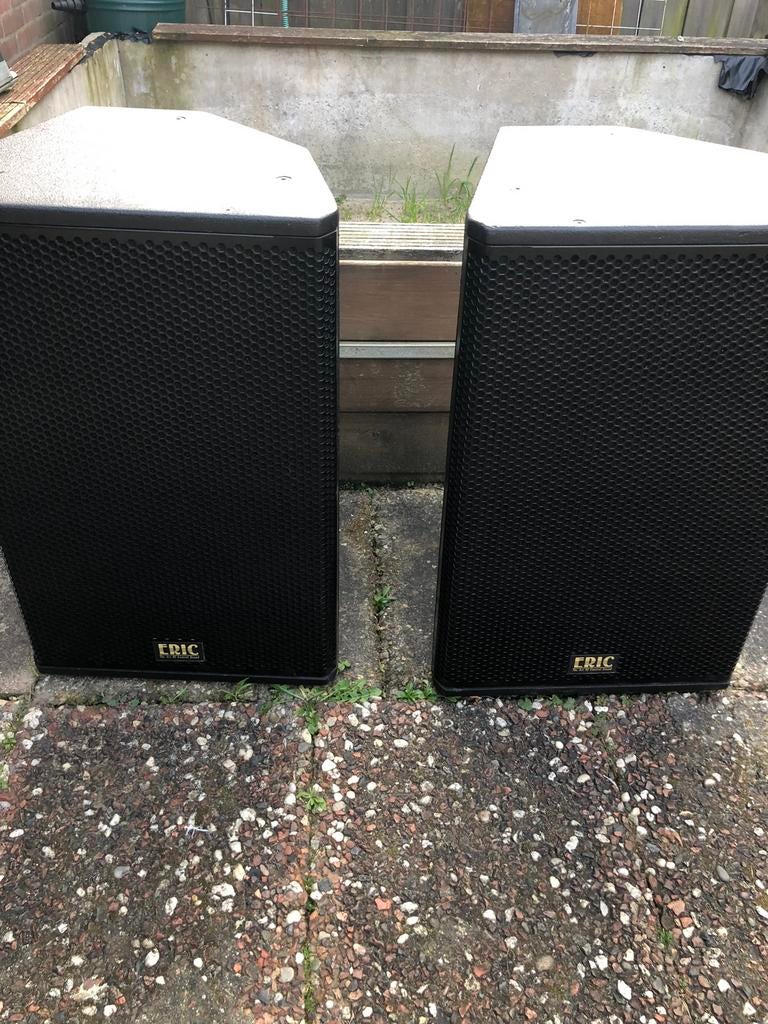 Eric de15 speakers, Audio, Tv en Foto, Luidsprekers, Zo goed als nieuw, 120 watt of meer, Front, Rear of Stereo speakers, Ophalen