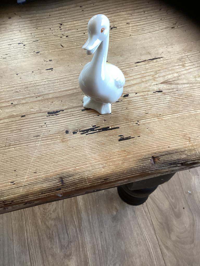 Eend, Ophalen of Verzenden, Zo goed als nieuw, Dier