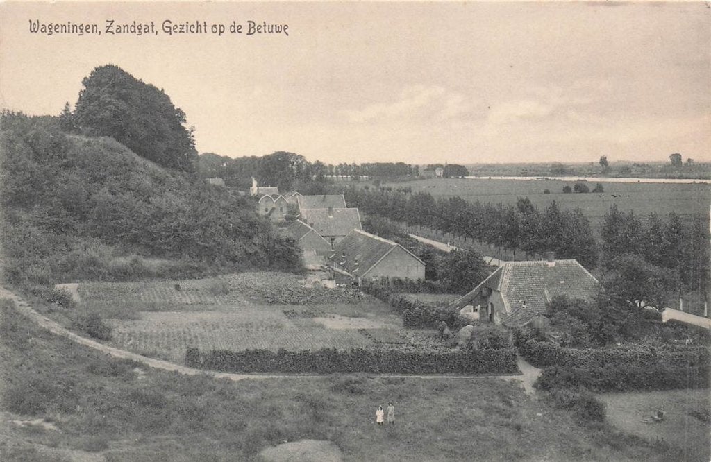 702-409-019 Wageningen Zandgat Gezicht Op De Betuwe, Verzamelen, Ophalen of Verzenden, Voor 1920, Gelderland