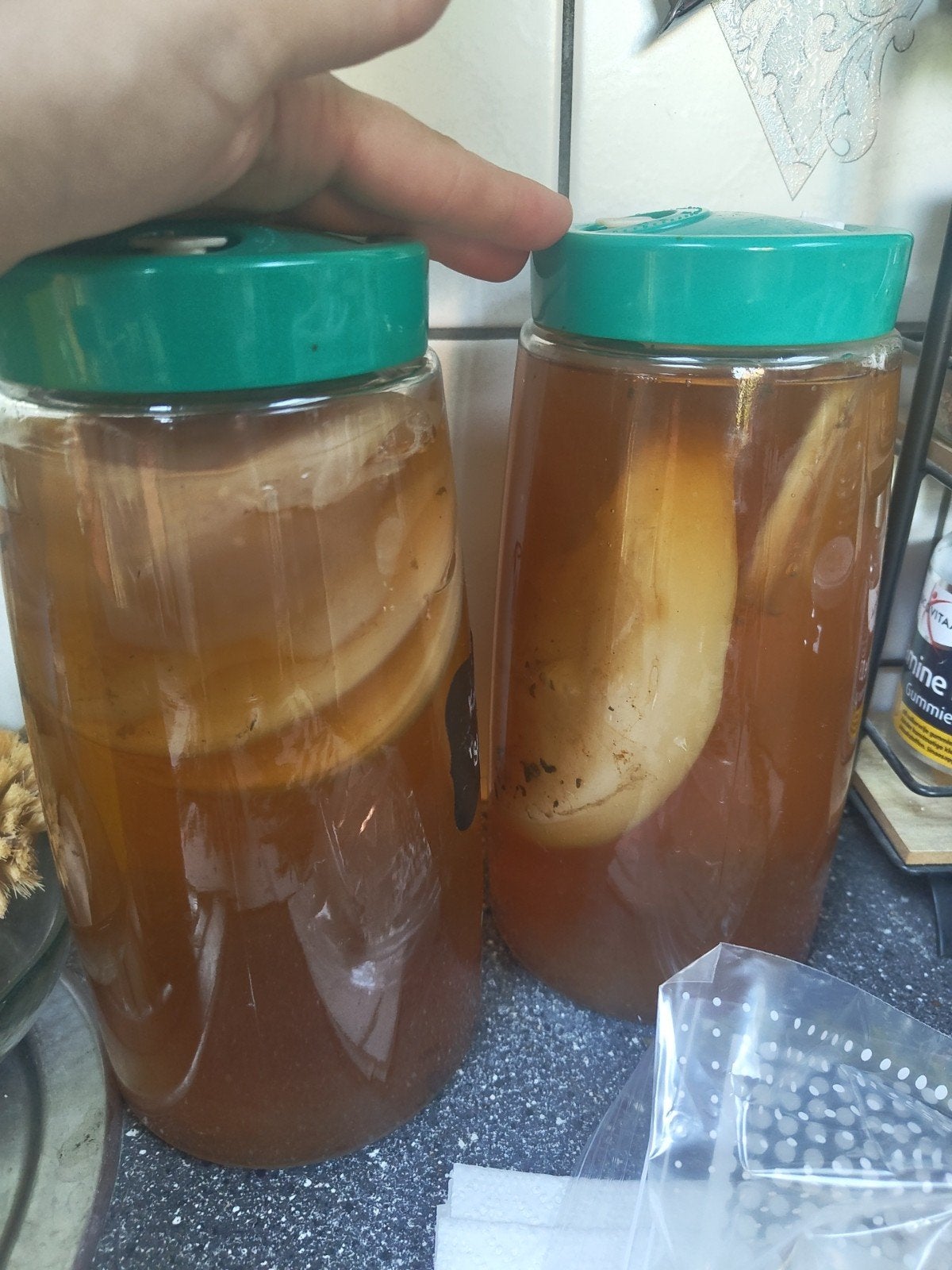 Kombucha scobie/ mother, Boeken, Ophalen