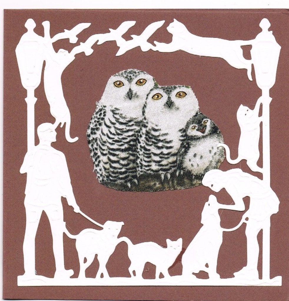 uilkaart, Ophalen of Verzenden, Nieuw, Dieren