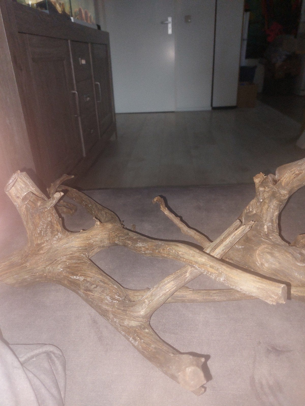 3  stukken kienhout, Dieren en Toebehoren, Ophalen, Zo goed als nieuw, Plant(en), Steen of Hout
