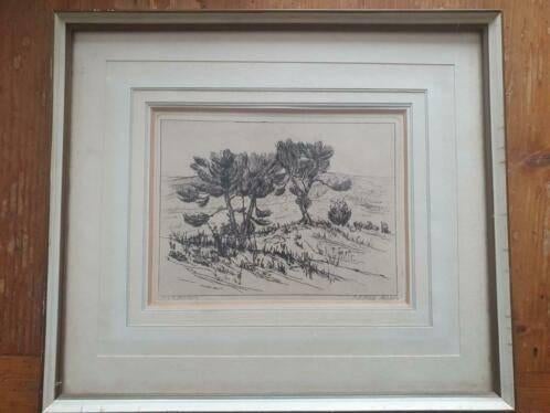 Ets Frans Room duinen pijnbomen Zaandam, Antiek en Kunst, Kunst | Etsen en Gravures, Ophalen